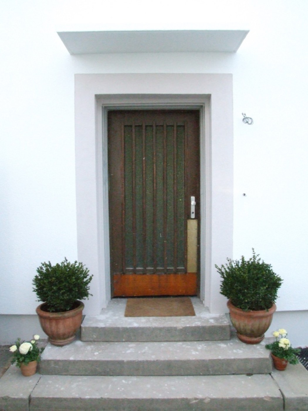 Haustür Vorher